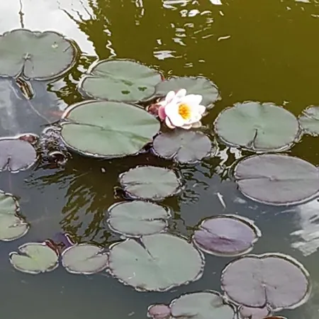 Casal Do Moinho Casa vacanze