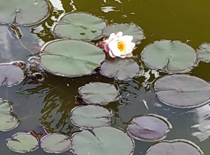 Casal Do Moinho Semesterbostad